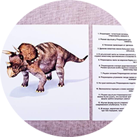 Каждая отдельная категория битов призвана расширить кругозор ребенка, а сопутствующая ей программа развития интеллекта  - углубить его знания в данной области.