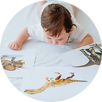 Каждый день бесценен, и Ваш малыш с первого дня своей жизни жаждет знаний об окружающем мире. Поэтому пища для его мозга столь же важна, как и для его желудка. Стимуляция должна производиться целенаправленно, а не  случайно. Чем интенсивнее работает мозг, тем быстрее он развивается, а значит, тем способнее становится ребенок. 