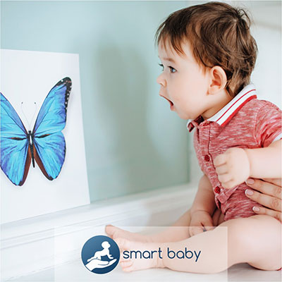 Видеокурс «Первый год жизни»</br>+